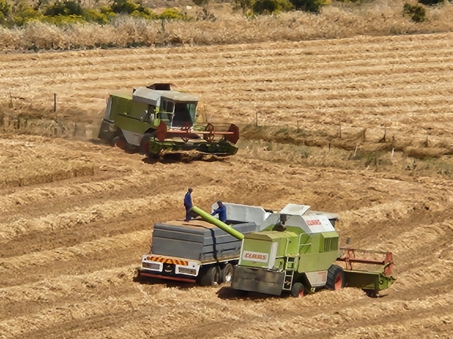 Commercial Property for Sale in Wolseley Western Cape